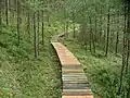 Sentier en bois