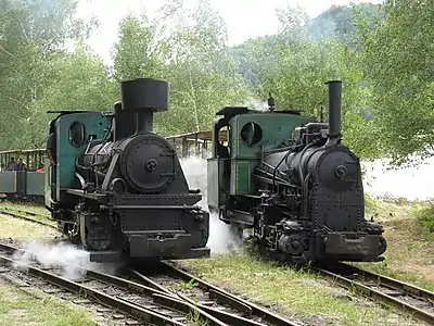 Locomotive à vapeur sur voie étroite.