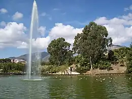 Le grand lac aux canards