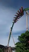 Parrot Coaster à Chimelong Ocean Kingdom