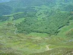 La route du pas de Peyrol sur le versant de la vallée de la Jordanne vue depuis le puy Mary