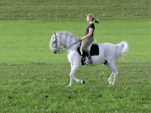Vidéo montant une jeune femme exécutant avec son cheval gris le passage dans une carrière en herbe.