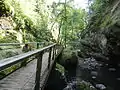 Passerelle en bois près de la cascade de Liadouze