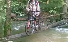 Passerelle sommaire sur l'Alzou en crue