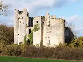 Image illustrative de l’article Château de Passy-les-Tours