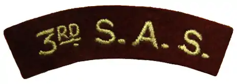 Patch de bras du 3e RCP