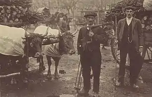 Photographie en noir et blanc d'un homme devant un attelage bovin ; carte postale ancienne.