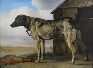 Wolf-Hound (1650-1655), Musée de l'Ermitage, Saint-Pétersbourg