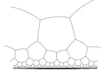 Dessin en noir et blanc d'un pavage du demi-plan par une infinité d'heptagones, diminuant de taille vers le bord inférieur, et grandissant vers le haut.