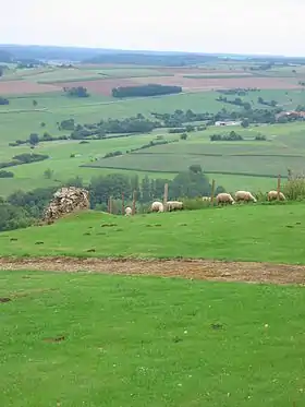 Vue depuis le mont Saint-Walfroy.