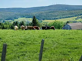 Image illustrative de l’article Beauce (Québec)