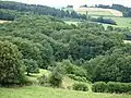 Paysage sur la commune de Châtelus-le-Marcheix