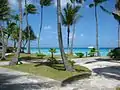 Paysage d'atoll à Rangiroa