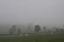 La photographie couleur montre un paysage dans le brouillard. Le vert des prés se fond dans un dégradé vers le gris du ciel. Dans cette trame floue apparaissent les taches sombres des arbres et haies et les taches claires de vaches blanches.