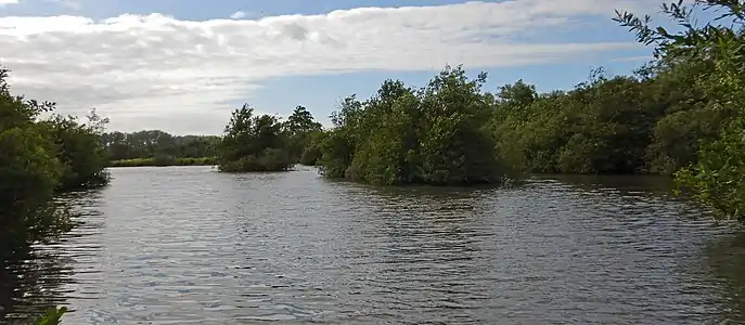 L'étang de Brimeux.