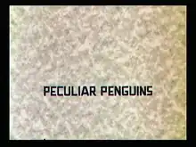 Description de l'image Peculiar_Penguins.png.