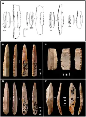 Lamelles Dufour du protoaurignacien (haut) et de l'Aurignacien de la grotte Pego do Diabo au Portugal (bas).