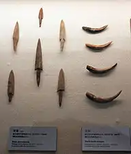 Pointes de flèches en os et racloirs en corne. Culture de Peiligang (v.6000-5200), Jiaxian, Henan. Henan Provincial Museum, Zhengzhou