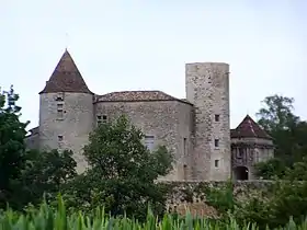 Image illustrative de l’article Château du Puch de Gensac