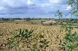 Pelleport (31) : vue du village depuis la campagne alentour