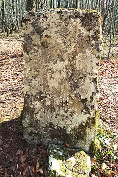 Borne de juridiction en forêt de Poncey face Saint-Seine