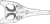 Diagramme d'un crâne de Peloneustes.