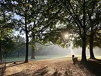 La pelouse des Anglais et dans le fond, le ravin du bois de la Cambre