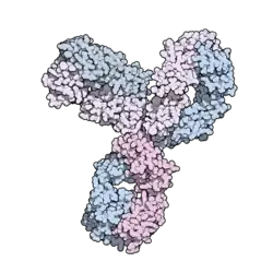 Image illustrative de l’article Pembrolizumab