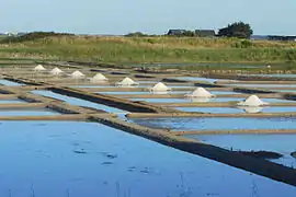 Marais salants, entre la pointe de Pen-Bron et Lencly.