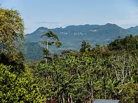 Massif de Peñas Blancas dans la réserve Bosawas.