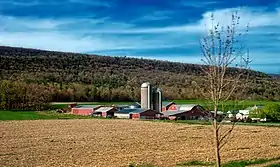 Haines Township (Pennsylvanie)