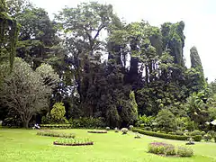 Vue du jardin