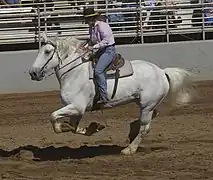 En barrel racing, États-Unis, 2009