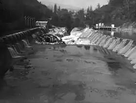 Les pertes du Rhône en 1931.