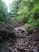 Vallée de l'Ouysse sous Thémines.