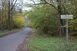 Le bois du Petit-Moulin au sud-ouest de la commune.