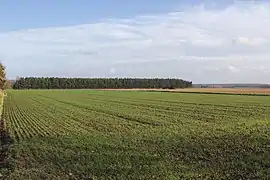 Terrain agricole dans la plaine de la Bière, au sud-est de la commune.