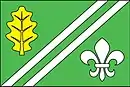 Drapeau de Pesvice