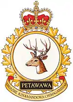 Image illustrative de l’article Garnison Petawawa