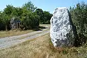 Menhirs du Moulin de Violette