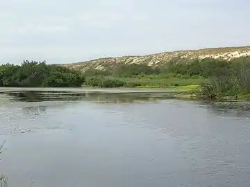 Étang au pied du cordon dunaire, vu de l'observatoire