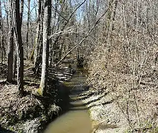 La Petite Duche au pont de la RD 41, en limite d'Eygurande-et-Gardedeuil (à gauche) et de Servanches.