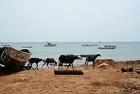 La Petite-Côte près de Nianing.