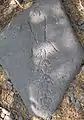 Pétroglyphe du district archéologique de Puako Petroglyph