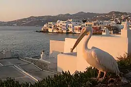 Mykonos