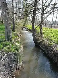 La Peychay au lieu-dit le Grand Champ, en limite de Saint-Pardoux-de-Drône (à gauche) et de Saint-Martin-de-Ribérac. Vue vers l'amont.