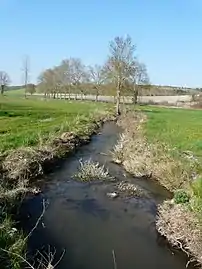 Au même endroit, en limite de Saint-Martin-de-Ribérac (à gauche) et de Saint-Pardoux-de-Drône. Vue vers l'aval.