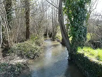 La Peychay au lieu-dit les Peyronnets, entre Saint-Méard-de-Drône (à gauche) et Saint-Martin-de-Ribérac.