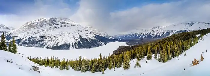 De la neige partout, cerclée d'une ligne de sapins, de quelques montagnes arrondies, surmontée d'un peu de ciel bleu.