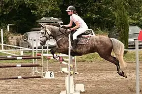 Meije du Garon, ponette français de selle, lors d'une compétition de saut d'obstacles.